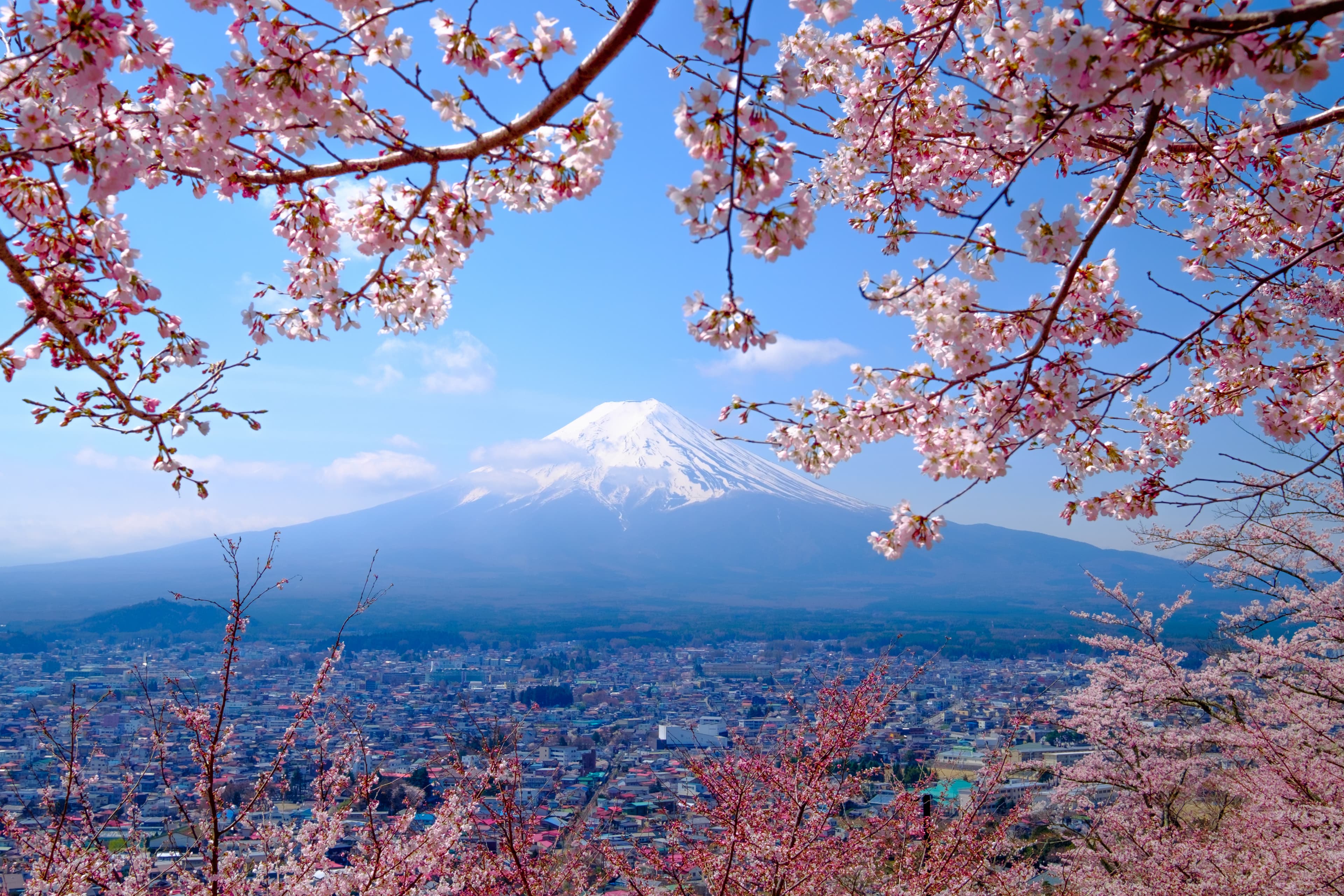 Japan travel experiences 2